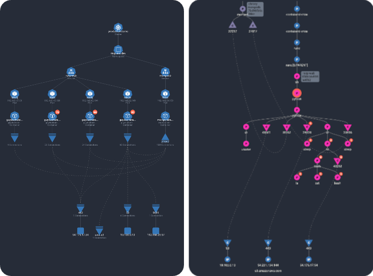 Cloud Native Runtime Protection